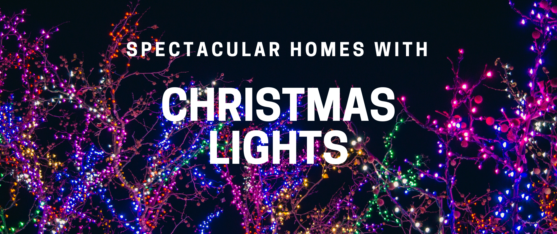 Where to see the best christmas lights in the East Bay